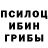 Галлюциногенные грибы Magic Shrooms zeinab madhloom