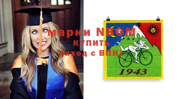 индика Володарск