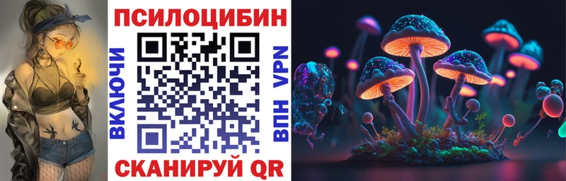 OMG   хочу наркоту  Екатеринбург  даркнет формула  Галлюциногенные грибы Psilocybine cubensis 