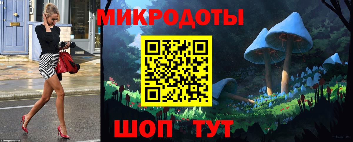 Псилоцибиновые грибы мицелий Екатеринбург