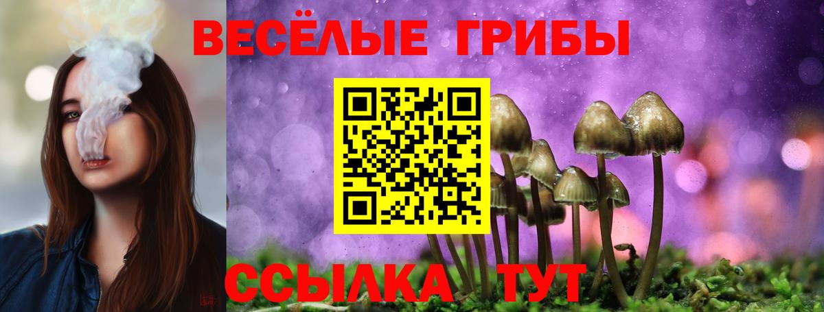 Псилоцибиновые грибы GOLDEN TEACHER  Вход с VPN  Екатеринбург 